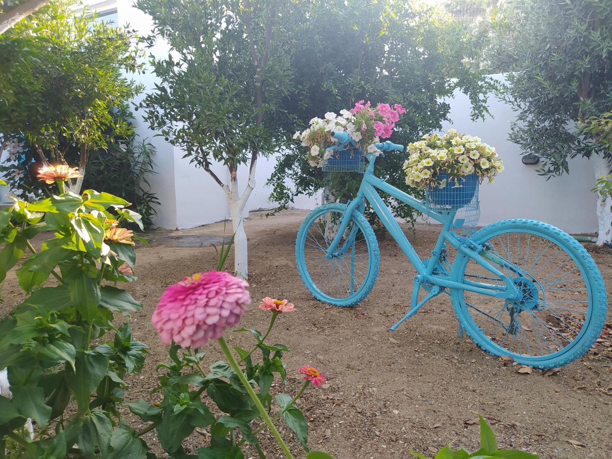 Apartmán Perivoli 3-Chora Agkidia Exteriér fotografie