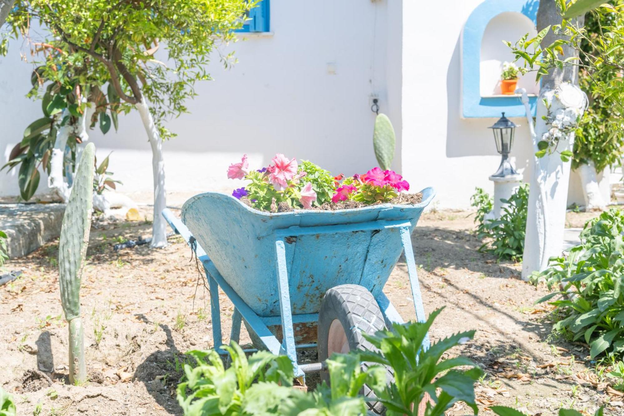 Apartmán Perivoli 3-Chora Agkidia Exteriér fotografie